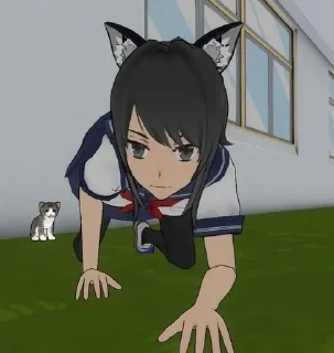 😸