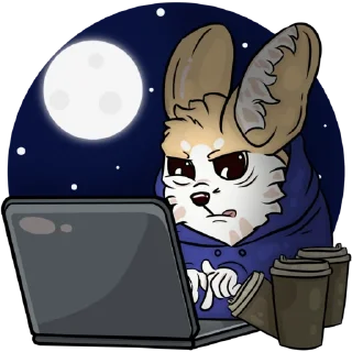 👨‍💻