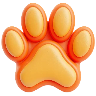 🐾