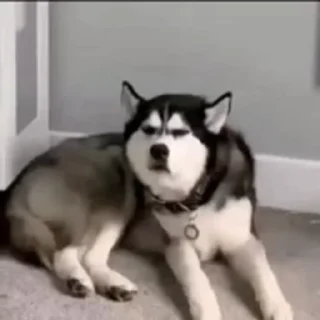 😕