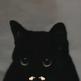 👉