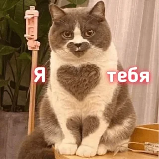 💜