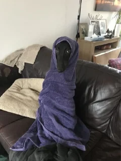🚿