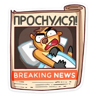 🗞