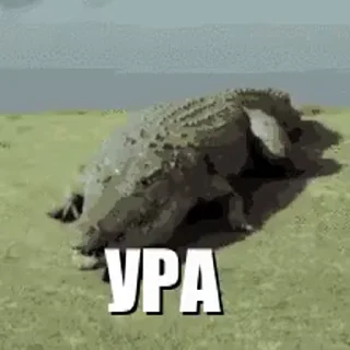 🥳