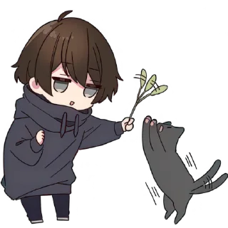 🐱