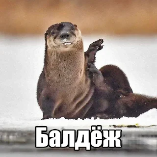 ☺️