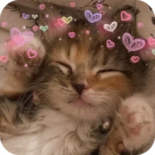 💝
