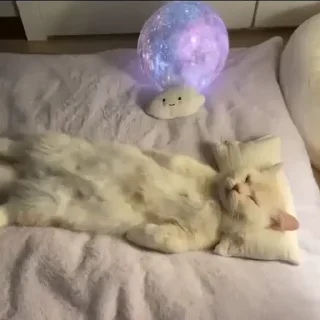 🥺