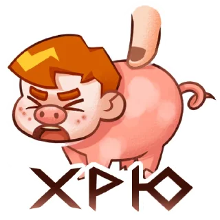 🐽