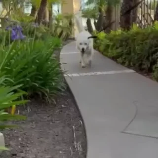 😛