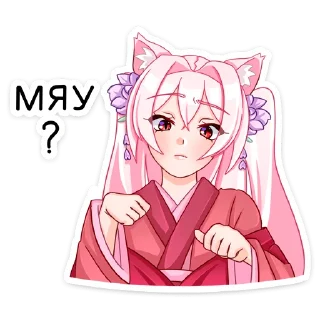 😽