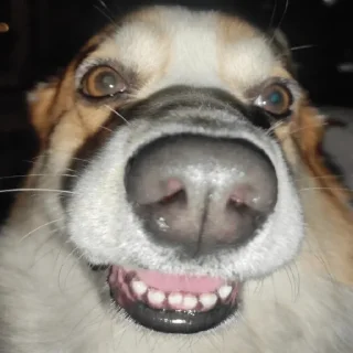 😃