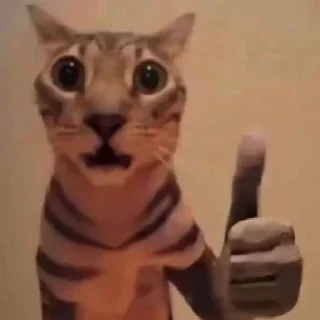 👍