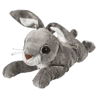 🐰