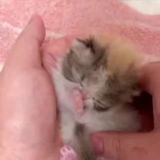 😁