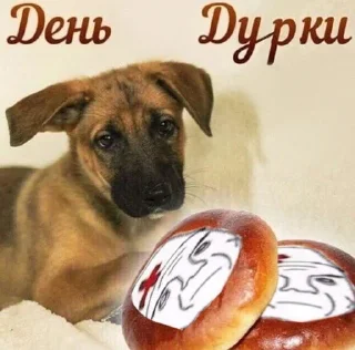 🍩