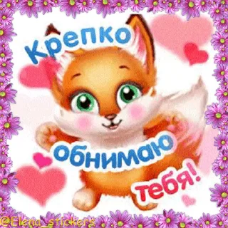 🦊