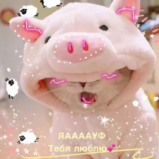 💕