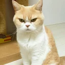 🤨