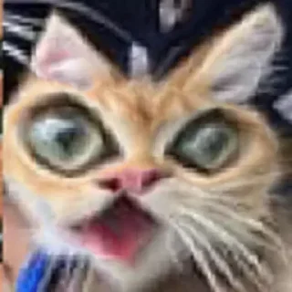 😲