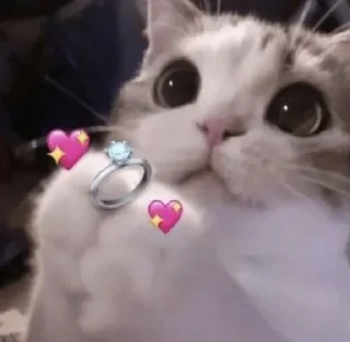 💍