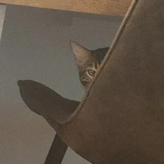 😶