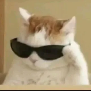 😎