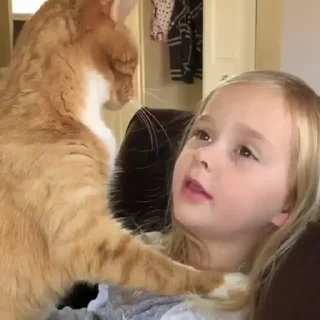 🐈