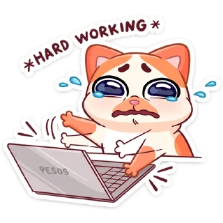 💻