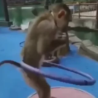 💪
