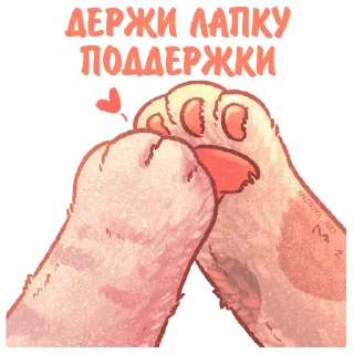 ✋
