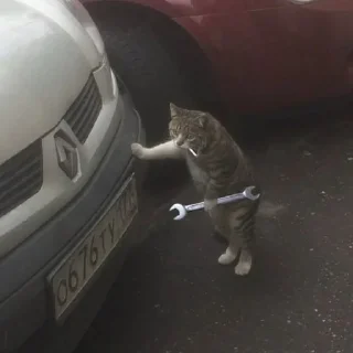 🔧