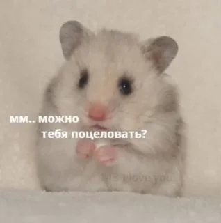 ❤️