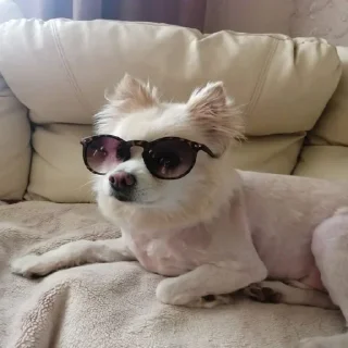 🤓