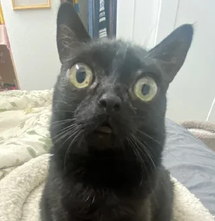 😐