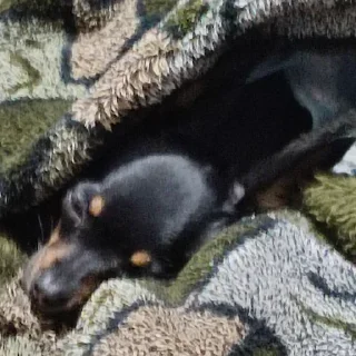 😴