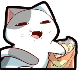 🐈