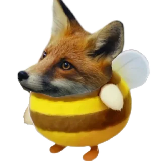 🦊