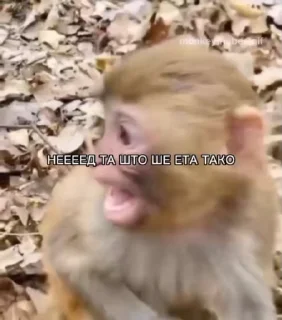 😨