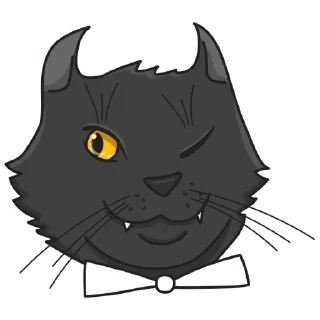 😽