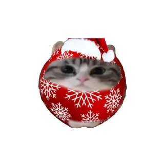 ❄️