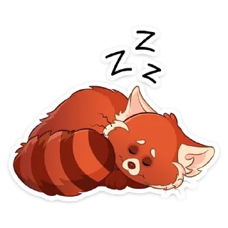 😴