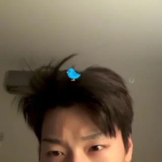 🤌