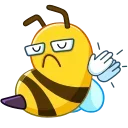 👏