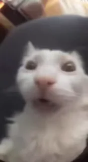 😜