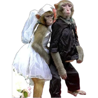 👰‍♀️