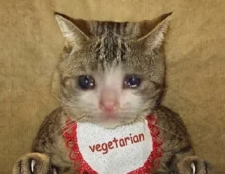 😭