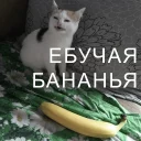 🍌