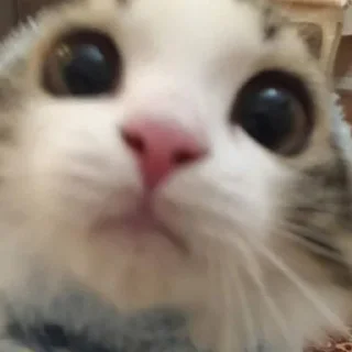 😶